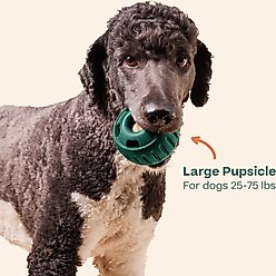 Woof Starter Pack Chicken & Peanut Butter Flavored Treats, Silicone Mold & Pupsicle Dog Toy, Large slide 2 of 8