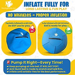 Kahu Elements Herding Buddy Ball Set Dog Toy, 25-in slide 2 of 9