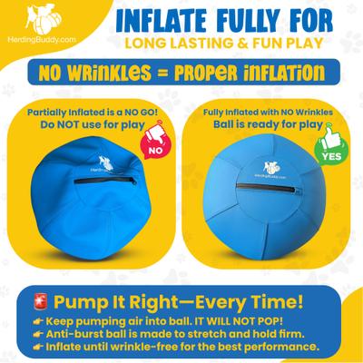 Show full view: Herding Buddy Ball Dog Toy, Blue, 25-in slide 3 of 13