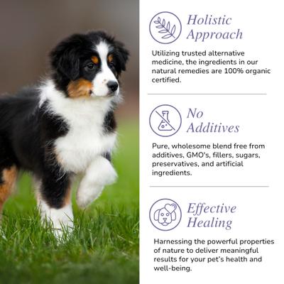 Show full view: Glacier Peak Holistics Super Cleanse Immune Supplement for Dogs & Cats, 3-oz slide 6 of 6