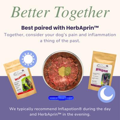 Show full view: Glacier Peak Holistics Inflapotion Powder Joint Supplement for Dogs, 3-oz slide 7 of 8