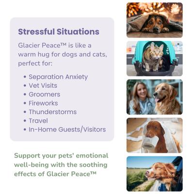 Show full view: Glacier Peak Holistics Glacier Peace Anxiety Relief Powder for Dogs & Cats, 3-oz slide 5 of 7