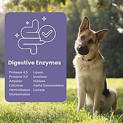Glacier Peak Holistics Paw-Gest Digestive Enzymes for Dogs & Cats, 2-oz slide 2 of 4