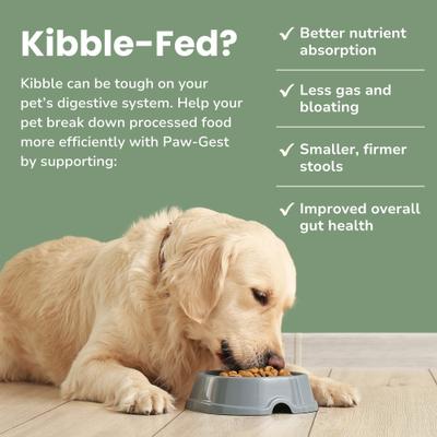 Show full view: Glacier Peak Holistics Paw-Gest Digestive Enzymes for Dogs & Cats, 2-oz slide 4 of 6