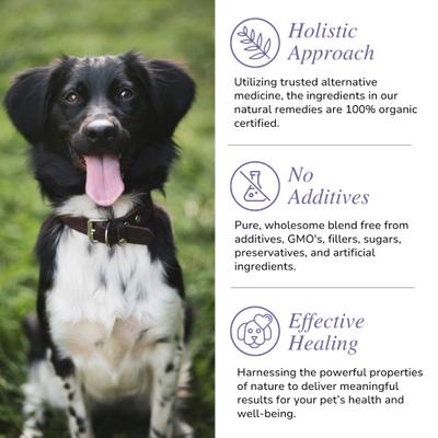 Show full view: Glacier Peak Holistics Daily Defense Powder Immune Supplement for Dogs & Cats, 3-oz slide 6 of 6