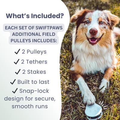 Show full view: SwiftPaws Pulley Pack Dog Toy slide 7 of 7