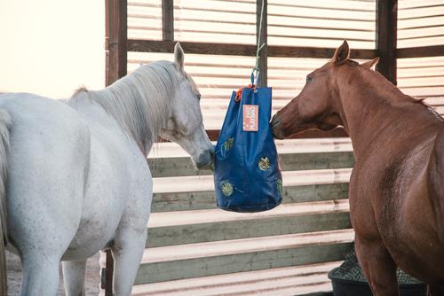 Show full view: HayPlay Horse Slow-Feed Tie Bag, Navy, Small slide 2 of 6