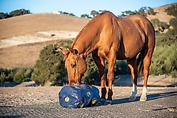 HayPlay Horse Slow-Feed Tie Bag, Navy, Small