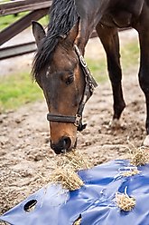HayPlay Horse Slow-Feed Zip Bag, Navy, X-Large slide 2 of 6