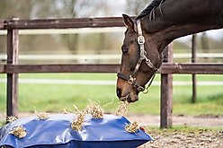 HayPlay Horse Slow-Feed Zip Bag, Navy, X-Large slide 1 of 6