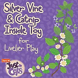 Hartz Just for Cats The Crinkler 3-in-1 Mega Cat Toy with Silver Vine & Catnip, Purple slide 2 of 8