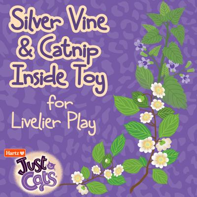 Show full view: Hartz Just for Cats The Crinkler 3-in-1 Mega Cat Toy with Silver Vine & Catnip, Purple slide 8 of 10