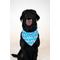 Show in main carousel: Dog Bandana Co. USA Dog Bandana, Large slide 3 of 7