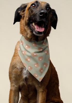 Show full view: Dog Bandana Co. Football & Baseball Dog Bandana, Large slide 3 of 5