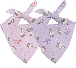 Dog Bandana Co. Birthday Girl & Gotcha Day Dog Bandana, Small