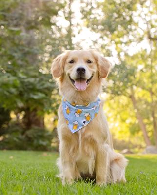 Show full view: Dog Bandana Co. Beer Dog Bandana, Medium slide 3 of 6