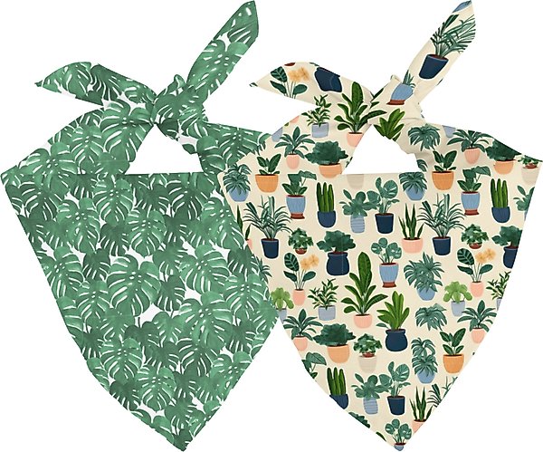 Show full view: Dog Bandana Co. House Plant Dog Bandana, Small slide 1 of 5