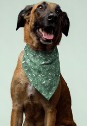 Dog Bandana Co. House Plant Dog Bandana, Medium slide 2 of 4