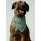 Show in main carousel: Dog Bandana Co. House Plant Dog Bandana, Medium slide 3 of 5