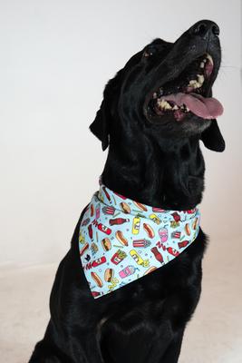 Show full view: Dog Bandana Co. Pizza & Food Dog Bandana, Large slide 2 of 8