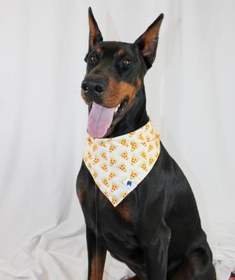 Show full view: Dog Bandana Co. Pizza & Food Dog Bandana, Large slide 5 of 8
