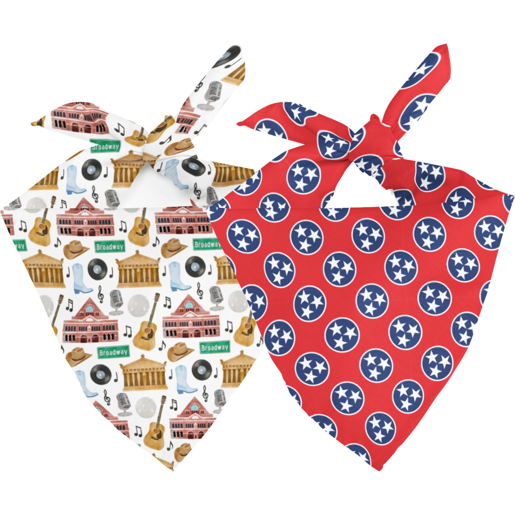 Dog Bandana Co. Nashville Tennessee Dog Bandana, Large