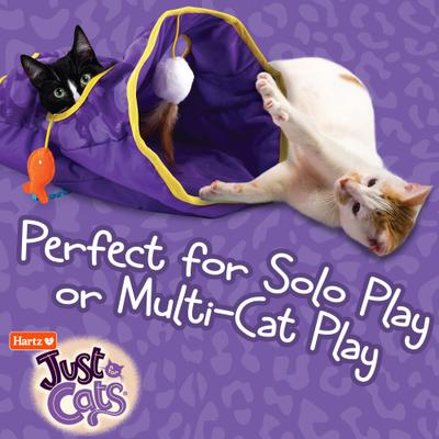 Show full view: Hartz Just for Cats The Crinkler 3-in-1 Mega Cat Toy with Silver Vine & Catnip, Purple slide 7 of 10