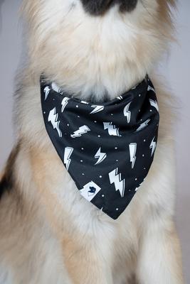 Show full view: Dog Bandana Co. Blue Moon & Lighting Dog Bandana, Small slide 4 of 8
