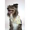 Show in main carousel: Dog Bandana Co. Popsicle Dog Bandana, Small slide 3 of 7