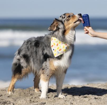 Show full view: Dog Bandana Co. Popsicle Dog Bandana, Small slide 2 of 7