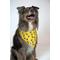 Show in main carousel: Dog Bandana Co. Daisy & Bees Dog Bandana, Large slide 4 of 7