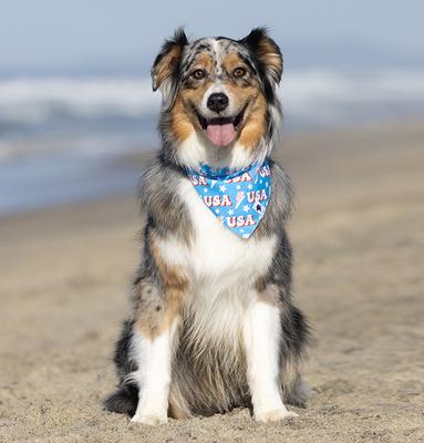 Show full view: Dog Bandana Co. USA Dog Bandana, Large slide 2 of 7