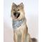Show in main carousel: Dog Bandana Co. Pizza & Food Dog Bandana, Large slide 4 of 8