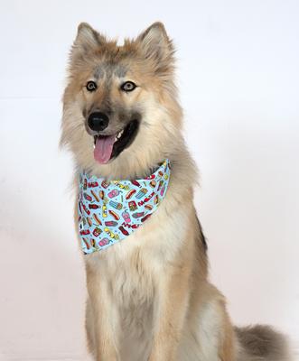 Show full view: Dog Bandana Co. Pizza & Food Dog Bandana, Large slide 4 of 8