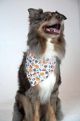 Show full view: Dog Bandana Co. Patriotic Summer Dog Bandana, Medium slide 2 of 5