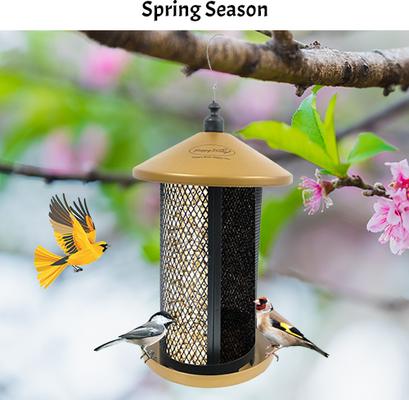 Show full view: Happy Wings Dual Mesh Wild Bird Feeder, Gold slide 6 of 8