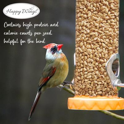 Show full view: Happy Wings Shelled Peanuts Wild Bird Food, 4-lb bag slide 7 of 10