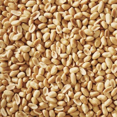 Show full view: Happy Wings Shelled Peanuts Wild Bird Food, 4-lb bag slide 2 of 10