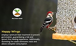 Happy Wings Safflower Seed Wild Bird Food, 4-lb bag slide 2 of 9