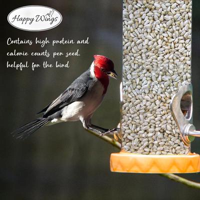 Show full view: Happy Wings Safflower Seed Wild Bird Food, 4-lb bag slide 7 of 10