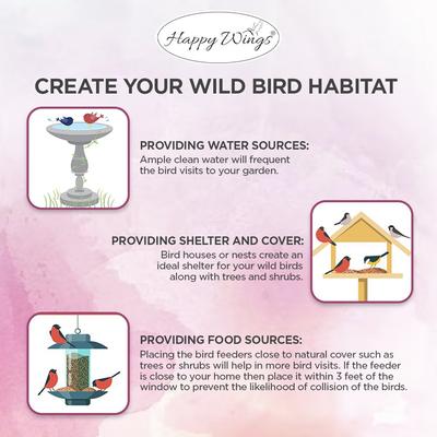 Show full view: Happy Wings Safflower Seed Wild Bird Food, 4-lb bag slide 6 of 10