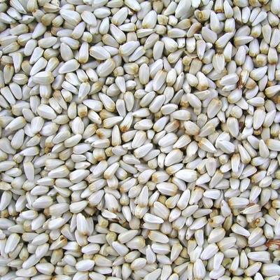 Show full view: Happy Wings Safflower Seed Wild Bird Food, 4-lb bag slide 2 of 10