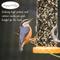 Show in main carousel: Happy Wings Songbird Blend Wild Bird Food, 4-lb bag slide 5 of 9