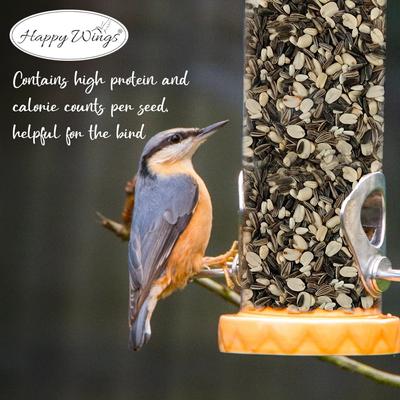 Show full view: Happy Wings Songbird Blend Wild Bird Food, 4-lb bag slide 5 of 9