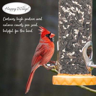 Show full view: Happy Wings Cardinal Blend Wild Bird Food, 4-lb bag slide 8 of 10