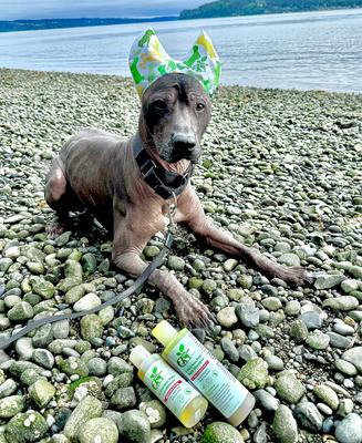 Show full view: RenewedPet Ear Cover Dog Shower & Bath Cap, Small slide 4 of 5