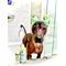 Show in main carousel: RenewedPet Ear Cover Dog Shower & Bath Cap, Small slide 3 of 5