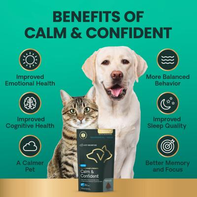 Show full view: VetriScience Max Veterinary Strength Calm & Confident Chicken Flavored Supplement Chews Dogs & Cats, 45 Count slide 7 of 10