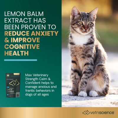 Show full view: VetriScience Max Veterinary Strength Calm & Confident Chicken Flavored Supplement Chews Dogs & Cats, 45 Count slide 4 of 10