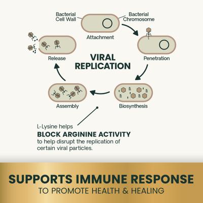 Show full view: VetriScience Extra Strength Lysine Immunity Health Chicken Flavored Chews Supplement for Cats, 120 Count slide 6 of 10